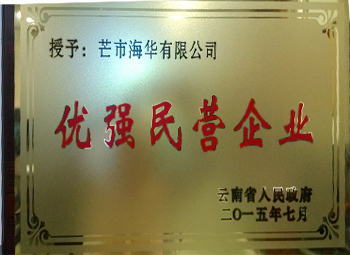 優(yōu)強(qiáng)民營企業(yè)